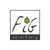 FIG Advertising and Marketing