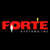 Forte Systems, Inc Logo