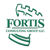 Fortis Consulting Group LLC Logo