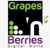 Grapes'n'Berries Logo
