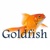 Goldfish Medical Staffing Logo