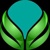 Green Expose Digital Logo