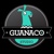 Guanaco Studio Logo