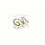 GVI Logo