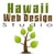 Hawaii Web Design Studio Logo