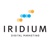 Iridium Digital Marketing Logo