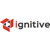 Ignitive Web Design Logo