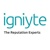 Igniyte Logo