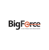 Big Force Logo