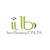 Imre Borsanyi CPA, PA Logo