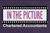 In The Picture Logo
