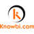 Knowbi Agencia Digital Logo