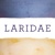 Laridae Logo