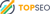 Topseosydney Logo