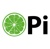 Lime Pi Digital Logo