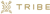 Tribe Interactive, LLC Logo