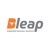 BLeap Strategic Marketing & Brand Consultants Logo
