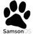 SamsonOS Logo