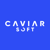 Caviarsoft Logo