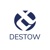 Destow Infotech Logo