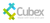 Cubex Logo