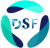 DigiSciFi Technologies Logo