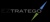 Eztratego Logo