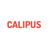Calipus Software Pvt Ltd Logo