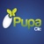 Pupa Clic Technologies Logo