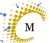 Maxmillian Management Logo