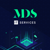 MDS IT Services Logo