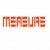 Measure Logo