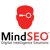 MindSEO Logo