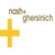 Nash & Ghersinich Logo