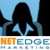 Netedge Marketing LLC Logo