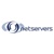 Netservers Ltd. Logo