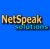 Netspeak Solutions Logo