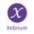 Xebrium Inc Logo