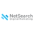 Net Search Logo