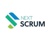 NextScrum Logo