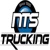 NTS LLC Logo