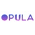 Opula Software Development Pvt. Ltd. Logo