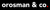 Provider Logotype Orosman Logo