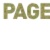 PAGE Logo