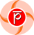 PALSOFT India Logo