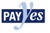 PAYYES PAYROLL SERVICE INC. Logo