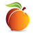 Peachtree Data, Inc. Logo