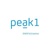 Peak 1 Logo