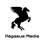 Pegasus Media Logo