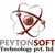 Peytonsoft Technology Pvt Ltd Logo